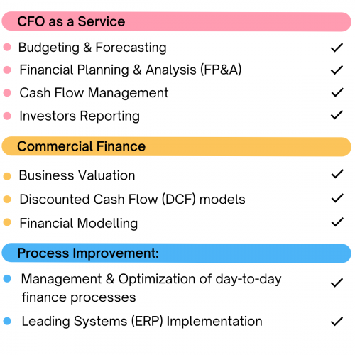 CFO Services that we provide to businesses